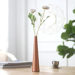 Vases Modern Style Metal Minimalism Vase Golden Simple Desktop Furnishings Home Decor Accessories Ornaments Crafts