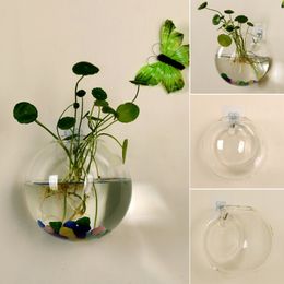 Transparent Glass Vase Wall Hanging Hydroponic Terrarium Fish Tanks Potted Plant Flower Pot Dia 8cm/10cm/12cm