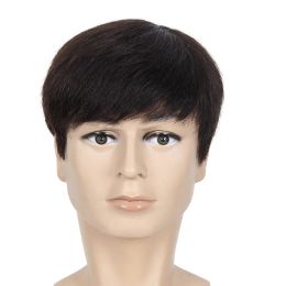Wigs Gres Natural Straight Men Short Wigs High Temperature Fibre Black Male Synthetic Hairpieces Machine Made for the Business Man