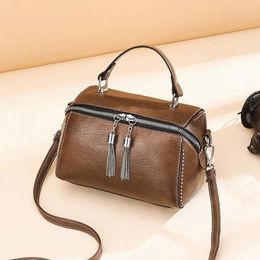 Shoulder Bags Casual All-match Simple Autumn And Winter Ladies Messenger Handbag Trend One Fashion Retro Pillow Bag Women