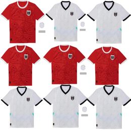 Austria Clean, comfortable, and high-quality football clothes Euro 24/25 Home Away Kits men tops tee shirts uniforms sets red tops white tees