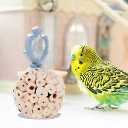 Other Bird Supplies 6 Pcs Parrot Foraging Toy Guinea Pig Chew Toys Chewing Ball Wooden Treats