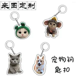 Dog Tag Personalised Pet Cat ID Collar Accessories Custom Engraved Necklace Chain Po Supplies For Picture Products