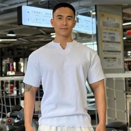Men's T Shirts Summer Men Business Causal T-shirt Beach Fashion Thin Stand Collar Solid Tee V-neck Breathable Fitness Korean Streetwear Tops