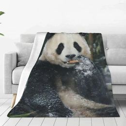 Blankets Fubao Panda Fu Bao Animal Blanket Lightweight Breathable Hypoallergenic Throw For Bedroom Home Decor