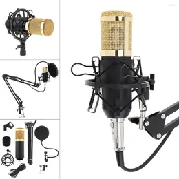 Microphones Professional BM 800 Karaoke Condenser Microphone With Stand Arm Bracket & Filter For Computer Studio Recording Live Show