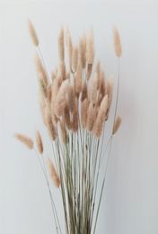 100 Stems Dried Flower Bunny Tail Natural Plants Floral Rabbit Grass Bouquet Home Decoration Z11207494367