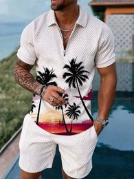 Summer Hawaii 3D Print Polo Shirts Shorts Sets Mens Fashion Oversized Short Sleeve Shirt Pants Set Suits Man Tracksuit Clothing y240320