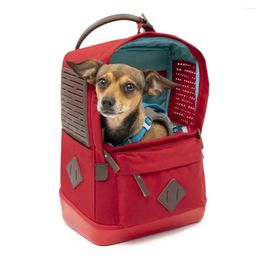 Dog Carrier Red Bag Poop Bags For Dogs Accessories Foldable Cat Pets Backpack