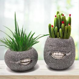 Vases Durable Flower Pot Funny Zipper Mouth Resin Set For Indoor Outdoor Gardening 2pcs Round Succulent Planter