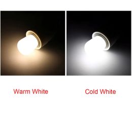 E12 E14 Corridor Home Accessories Furniture Light Bright Office LED Bulb Glass Pendant Energy Saving Desk Refrigerator Display