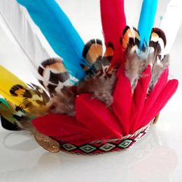 Cat Carriers Lovely Feather Pet Headband Accessory Costume Eye-catching Daily Using Dog For Family