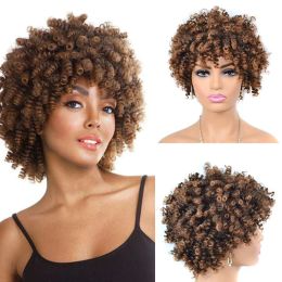 Wigs 10inch Short Hair Afro Kinky Curly Wig With Bangs Loose Synthetic Cosplay Fluffy Natural Wigs For Black Women Dark Brown