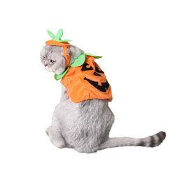 Mead Pet Cross-border E-Commerce Pet Halloween Teddy Dog Pumpkin Costume Ghost Festival Cat Costume Hat