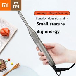 Irons Youpin Xiaomi Professional Curling 2 in 1 Flat Iron for Short Hair Antiscalding LED Ceramic Beard Straightener Styling Tools