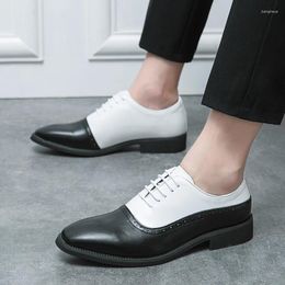 Casual Shoes 2024 Summer Men's Anti-skid Breathable Soft Sole Formal Leather Versatile Dual Colour Block Large