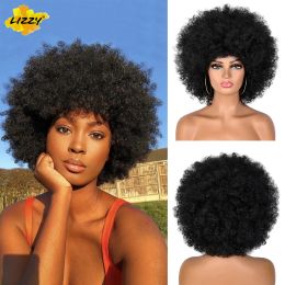 Wigs Short Afro Kinky Curly Hair Wigs For Black Women African Synthetic Fluffy And Soft Natural Looking High Temperature Wig Lizzy