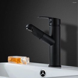 Bathroom Sink Faucets TP 8013 Stainless Steel Pull-type And Cold Tap Basin Washbasin Rotating Black Toilet Retractable