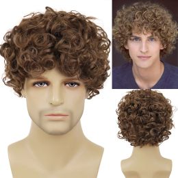 Wigs GNIMEGIL Curly Wigs for Men Synthetic Hair Natural Wigs Brown Colour Fluffy Haircuts Thick Bob Wig Short Hair Afro Wig Bangs Male