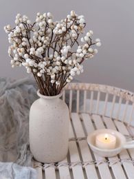 Decorative Flowers Ins White Fruit Natural Dry Flower Nordic Style Dried DIY Christmas Wreath Material Arrangement Home Table Decor