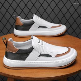 Casual Shoes 2024 Men's Summer Breathable Mesh Panel All-match Vibrato With The Same Style