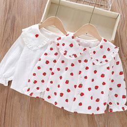 Girls' shirt 2024 new long-sleeved spring and autumn cotton lapel lace Korean version of the top for girls and foreign children's clothing