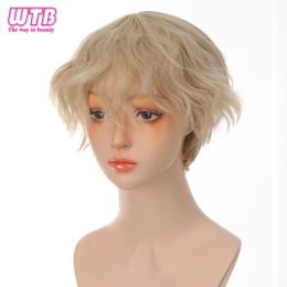 Wigs WTB Synthetic Short Curly Men's Wig Black Blonde Daily Use Wigs for Boy Halloween Cosplay Fake Wig Heat Resistant Fibre