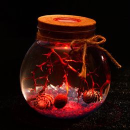 11/12cm Round Glass Jar Globe Terrarium Glass Jar with Colourful LED Light Cork Micro Landscape Ecological Bottle Night Lights