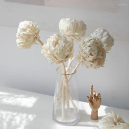 Decorative Flowers Luxury Natural Dried Africa Protea Cynaroides Wedding Table Centrepieces Decoration Farmhouse Home Room Decor Gifts