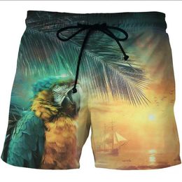 Men's Shorts Mens Shorts Summer Mens Beach Shorts S-6XL Gym Sports Shorts Animal 3D Print Galaxy Loose Surfing Shorts Quick Dry Surfing Board SwimsuitC240402