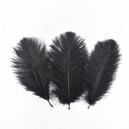 20Pcs/Lot Black Pheasant Feathers for Crafts Duck Ostrich Turkey Goose Dream Catcher Feather Fly Tying Materials DIY Accessories