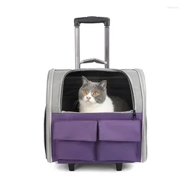 Cat Carriers Large Sleeping Dog Carry Pouch Crossbody Bed Transport Walking Training Pet Bag Carrier Pets' Travel Bags Kennels Cages