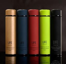 500ml Water Bottle Stainless Steel With Tea Infuser Double Wall Insulated water bottle Sport leakproof Matte Surface joyshaker wat8872780