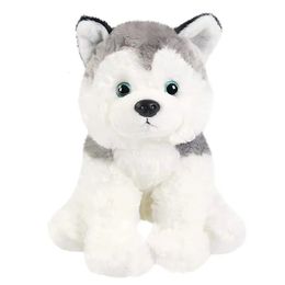 30cm Husky Doll Black White Dog Plush Toys Cute Soft Throw Pillows PP Cotton High Quality Stuffed Animals for Girl Birthday Gift 240329