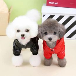 Dog Apparel Cat Jackets Bright Color Kitten Waterproof Coat Winter Warm Clothes