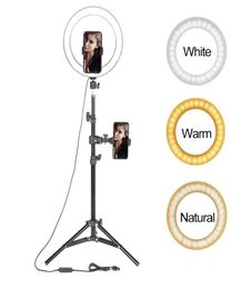 Tikok Youtube Makeup fill lighting Video Live Shooting LED Ring Light 10 inch with phone holder Tripod Stand Selfie6726919