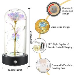 Christmas Glass Rose Flower Gifts with LED Lights Rechargeable Light Up Rose Flowers in Glass Dome For Birthday Valentine 8 Mode