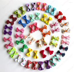 Dog Apparel 100pcs Girls Pet Puppy Cat Hair Clips Mixed Patterns Grooming Accessories For Small Products