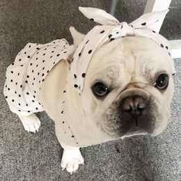 Dog Apparel Dot Dresses Princess Dress For Female Dogs Cats Pet Puppy Party Wedding Skirt Summer Clothes Small Big