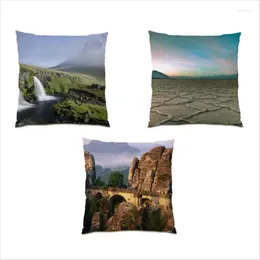 Pillow Pillowcase Comfortable Decorative Vintage Nature Landscape High Quality Sofas For Living Room Cover Colorful Home E0809