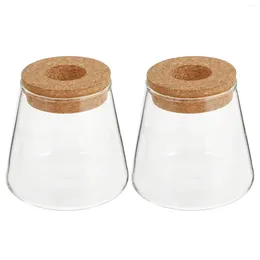 Vases 2 Pcs Mini Pots Eco Bottle Hydroponics Vase Planter Container Decoration For Home Terrarium Plants Office