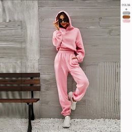 Women's Two Piece Pants 2024 Autumn Winter Set Sport Suit Pink Fleece Crop Top Hoodies Sweat Women Sets Clothing Outfit Sportswear