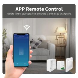 Tuya Mini Wifi Smart Switch Module Support 2 Way Control Smart Home DIY Switches Smart Life APP Alexa Google Home Voice Control