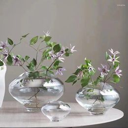 Vases Simple Flower Arrangement Transparent Glass Stainless Steel Ring Vase Decoration Living Room Family Birthday Housewarming