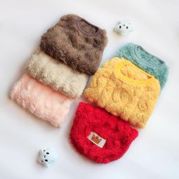 Dog Apparel Winter Clothing Thickened And Warm Sleeveless Fleece Jacket Cat Two Legged Pet Autumn