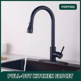 Kitchen Faucets 304 Stainless Steel Pull Out Faucet And Luxury With Black Pullout