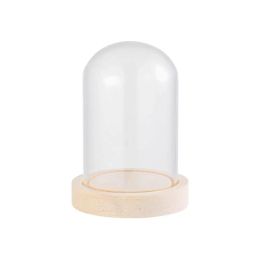 Glass Cloche Jar Transparent Display Stand Cover With Wooden Base Acrylic Dust Cover Display Box Terrarium Tabletop Flower Box