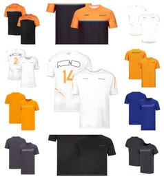 F1 racing suit short sleeve Tshirt racing fan series team version round neck quickdrying top breathable sports jersey1786083