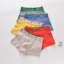 Intimo per ragazzi Mutandine per bambini Ragazzi Boxer in cotone Abbigliamento per bambini Intimo per bambini Per 2-16T 5 pezzi Mutandine per adolescenti per bambini 240329