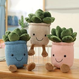 Decorative Flowers Succulent Plants Stuffed Toy For Kids Soft Simulation Potted Plush Doll Plant Decor Desk Window Decoration Gift